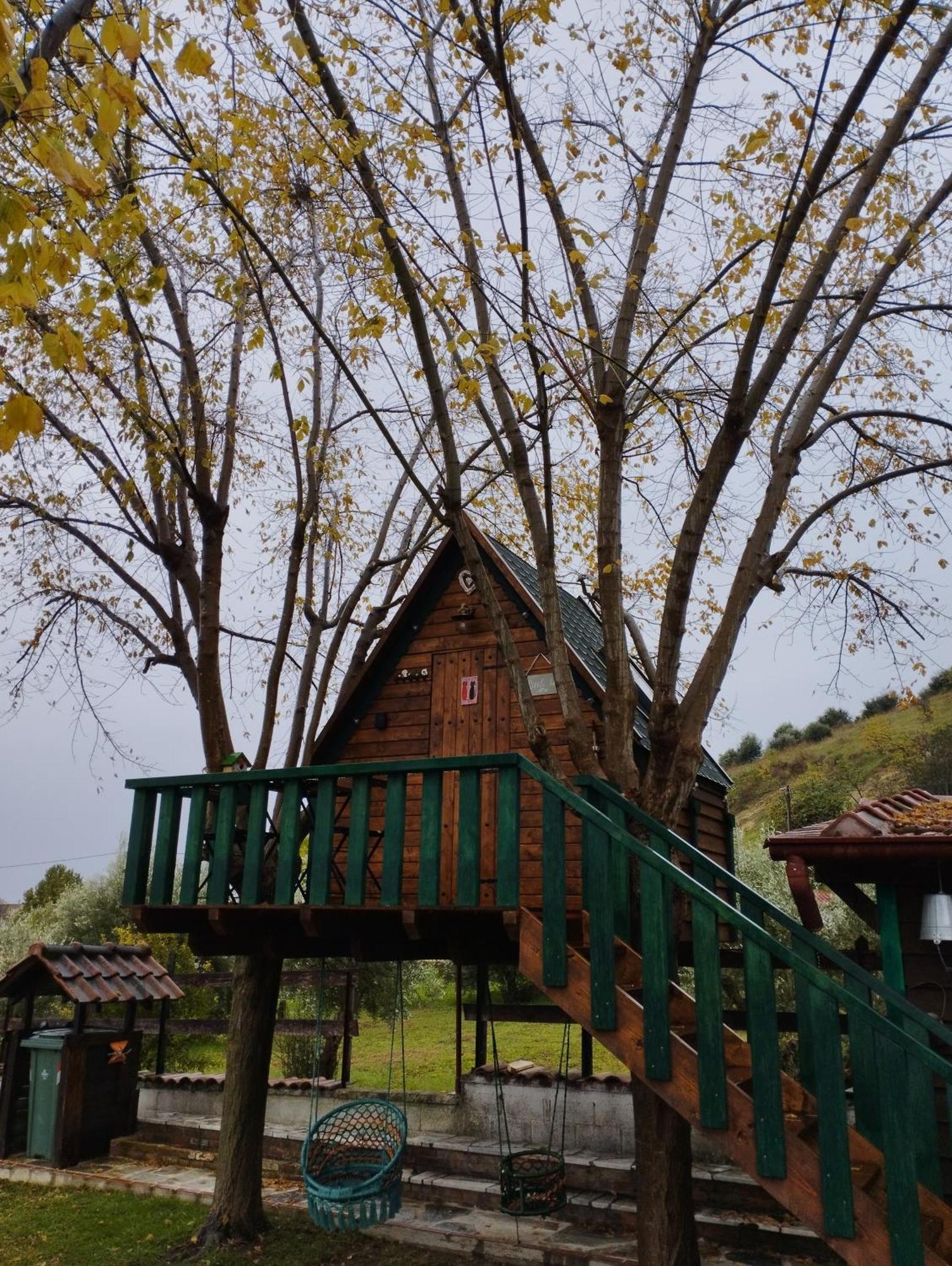 Traditional Guesthouse ตริกาลา ภายนอก รูปภาพ